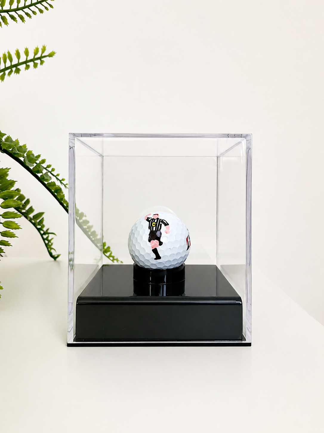Display boxed Roballs gift